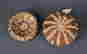 item-135976154=12