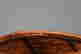 item-135976581=8