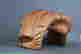 item-135977033=10