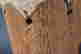item-135977035=7