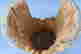 item-135977035=9