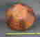 item-135978577=10