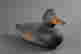 item-136428306=3
