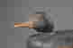 item-136428306=5
