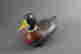 item-136428788=11