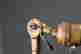 item-136657278=10