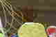 item-135838632=4
