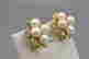 item-137112937=5