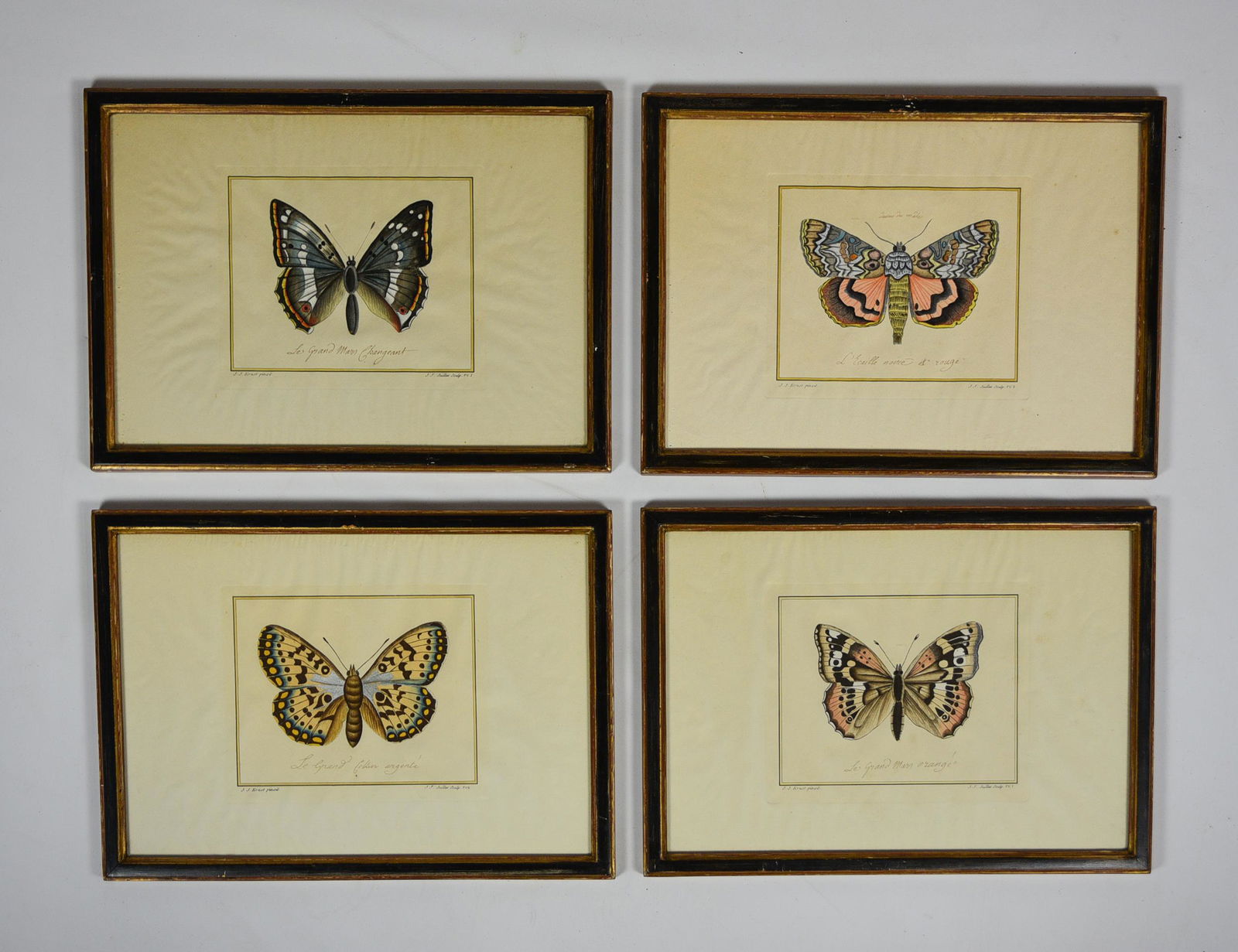 J.J. Juillet Butterflies Four Antique Framed Hand Tinted Prints (1 of 6)