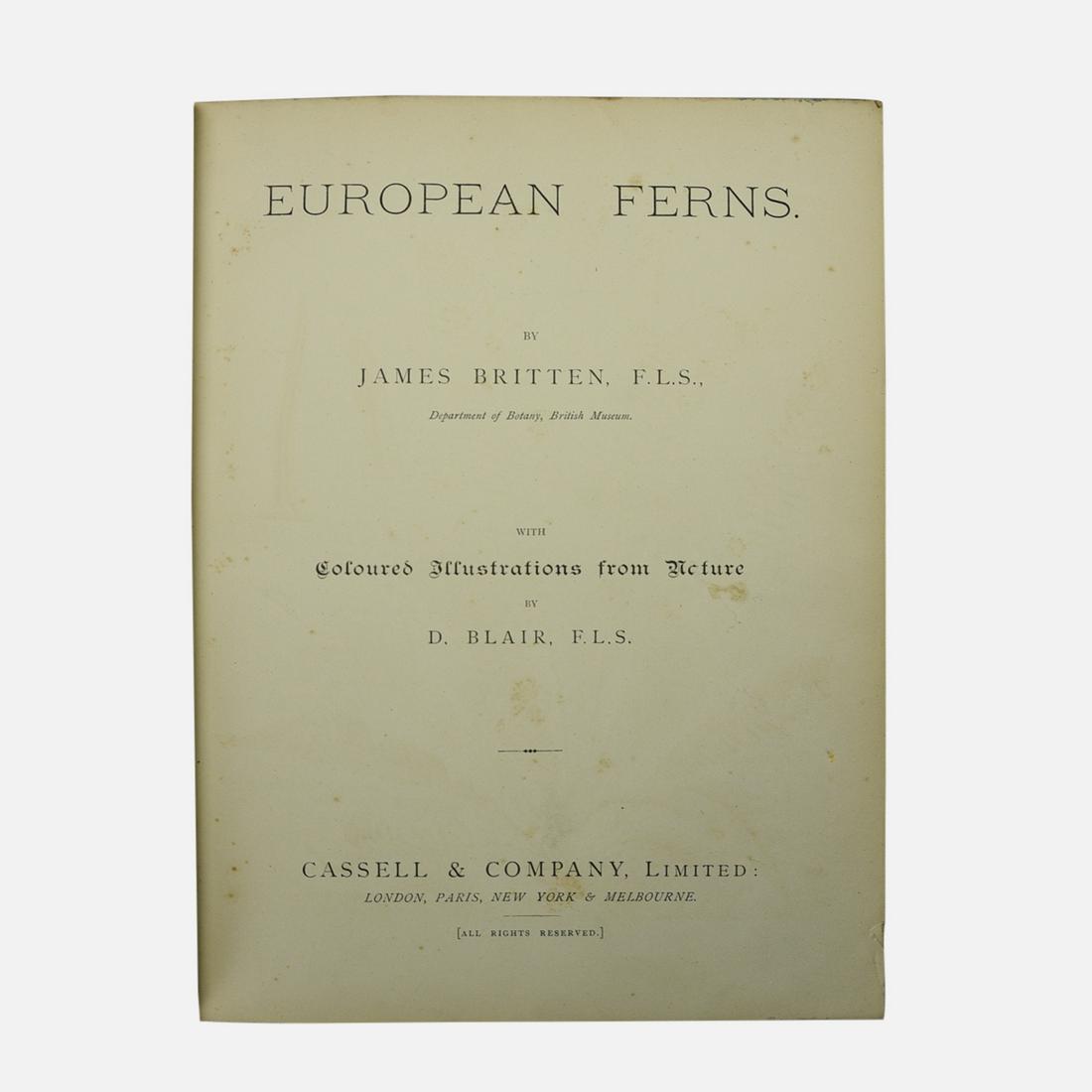 EUROPEAN FERNS by James Britten. Illustrations by D. Blair. Cassell & Co., Ca. 1870s (1 of 10)