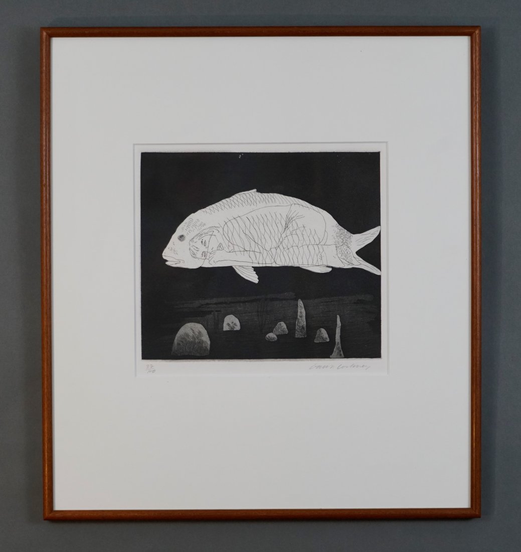 Hockney, David. THE BOY HIDDEN IN A FISH Lithograph (1 of 7)