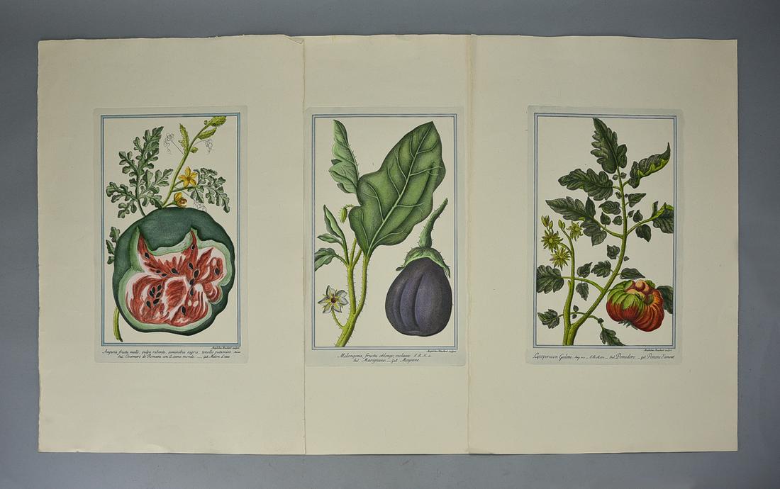 Three Hand Colored Giorgio Bonelli Botanical Prints (1 of 4)