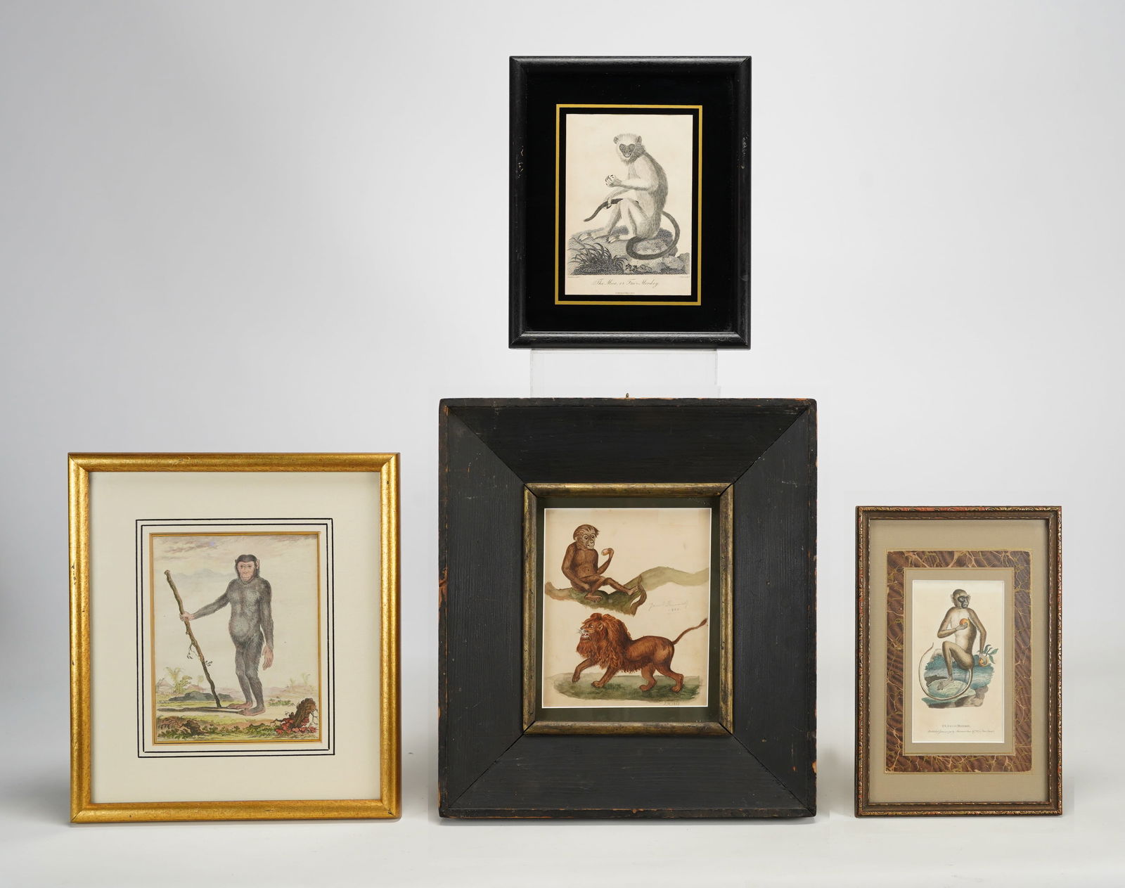 Lot of Four Antique 18th/19thC Framed Mammal Hand Colored Monkey Prints (1 of 7)