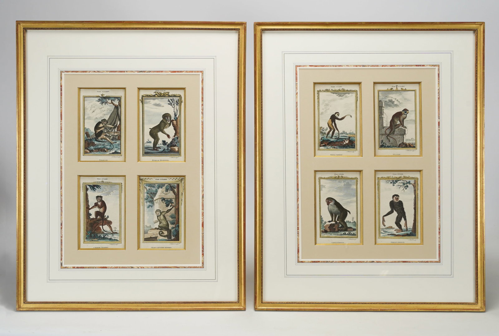 Bell, Andrew. Framed Pair of Original 18thC Monkey Hand Colored Engravings Prints (1 of 6)