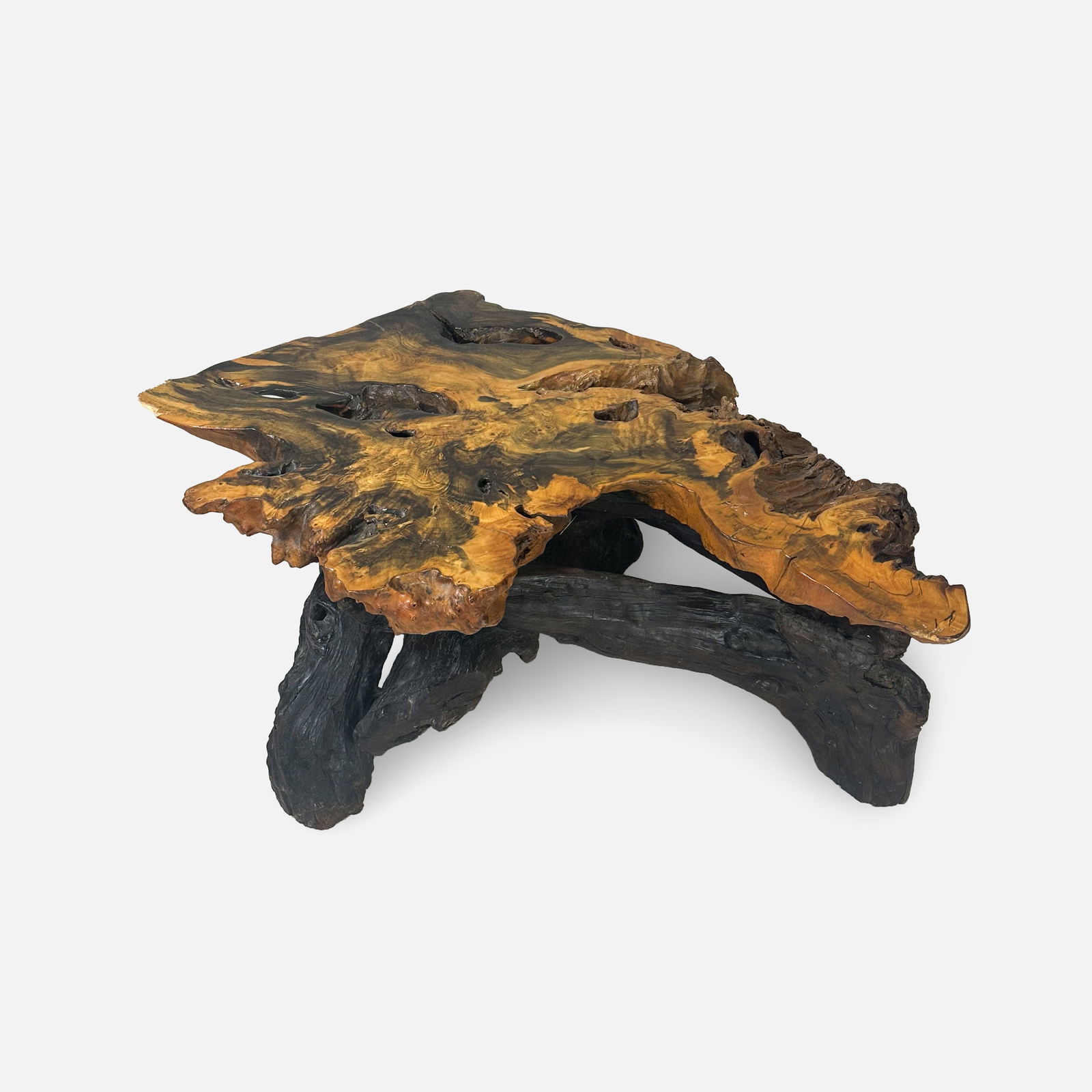 Organic Live Edge Burnt Root Root Coffee Table (1 of 8)
