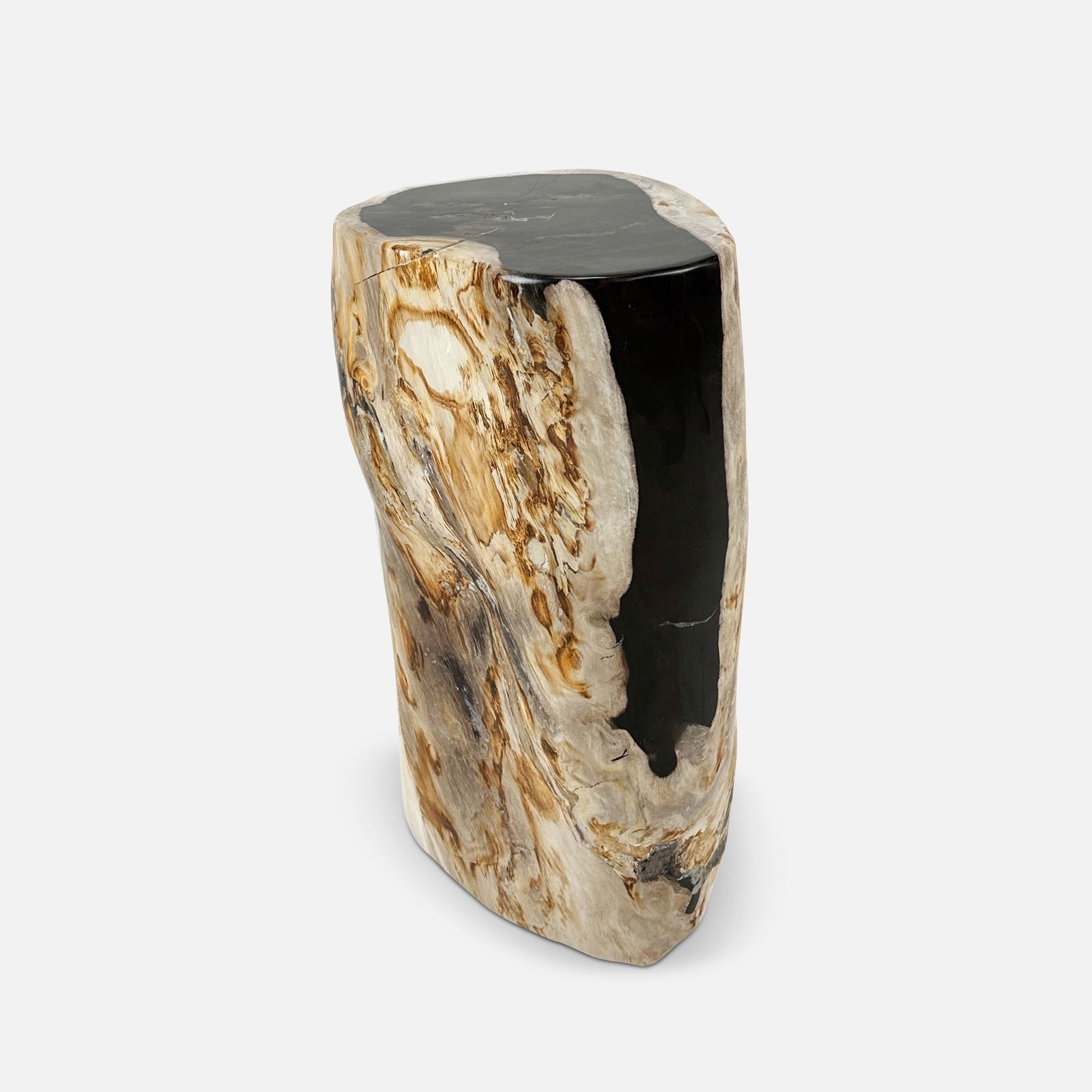 Large Polished Petrified Wood Tree Stump Stool Stand (1 of 6)
