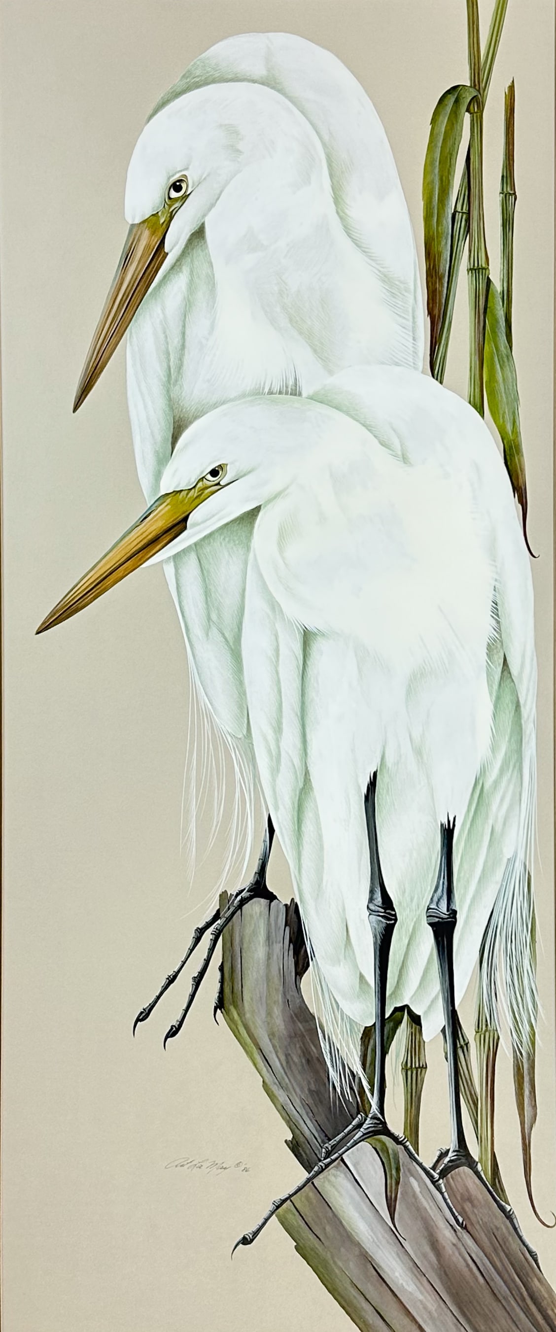 Large Art LaMay "American Egret Pair" 1986 Gouache Framed Painting (1 of 4)