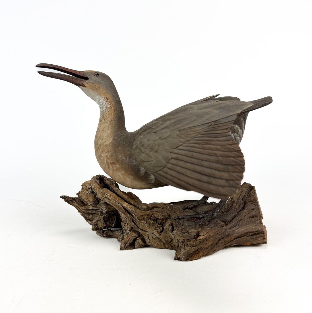 William "Bill" Veasey (1932-2022) Clapper Rail Carved and Painted Shorebird Decoy (1 of 10)