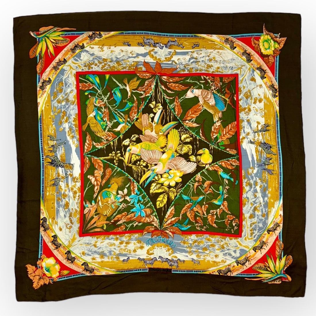 HERMES Paris Tropiques Cashmere and Silk Blend Scarf.  Made in France. (1 of 3)