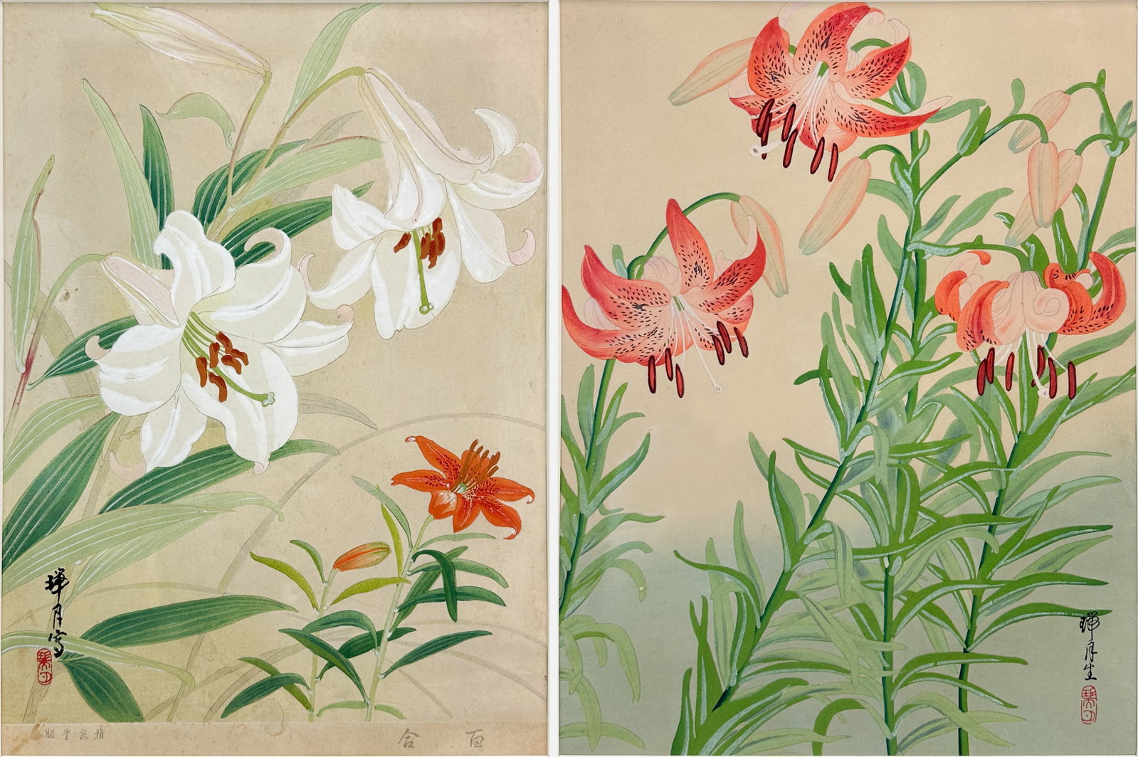 Zuigetsu Ikeda Lilies Japanese Woodblock Print Pair: Two woodblock prints by Japanese artist Zuigetsu Ikeda (1877-1944) depicting tiger lillies and white lilies. Tiger lily print sight condition very good, white lily print has discoloration/staining pre