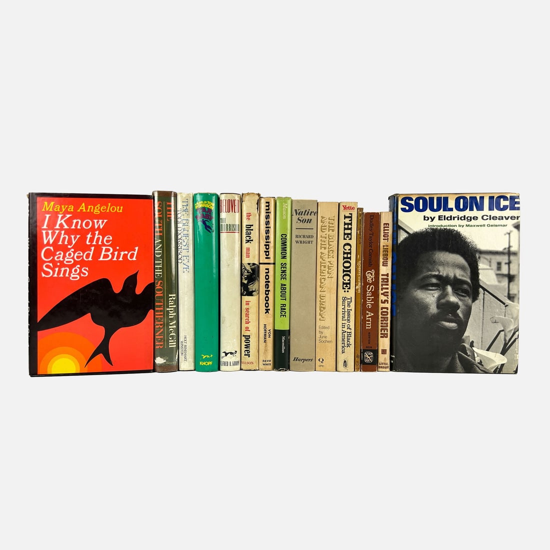 Fifteen Good Books: African American Novels, Autobiographies, and More: Books include The South and the Southerner by Ralph McGill, The Bluest Eye by Toni Morrison, Beloved by Toni Morrison, I Know Why the Caged Bird Sings by Maya Angelou, Common Sense About Race by Phili