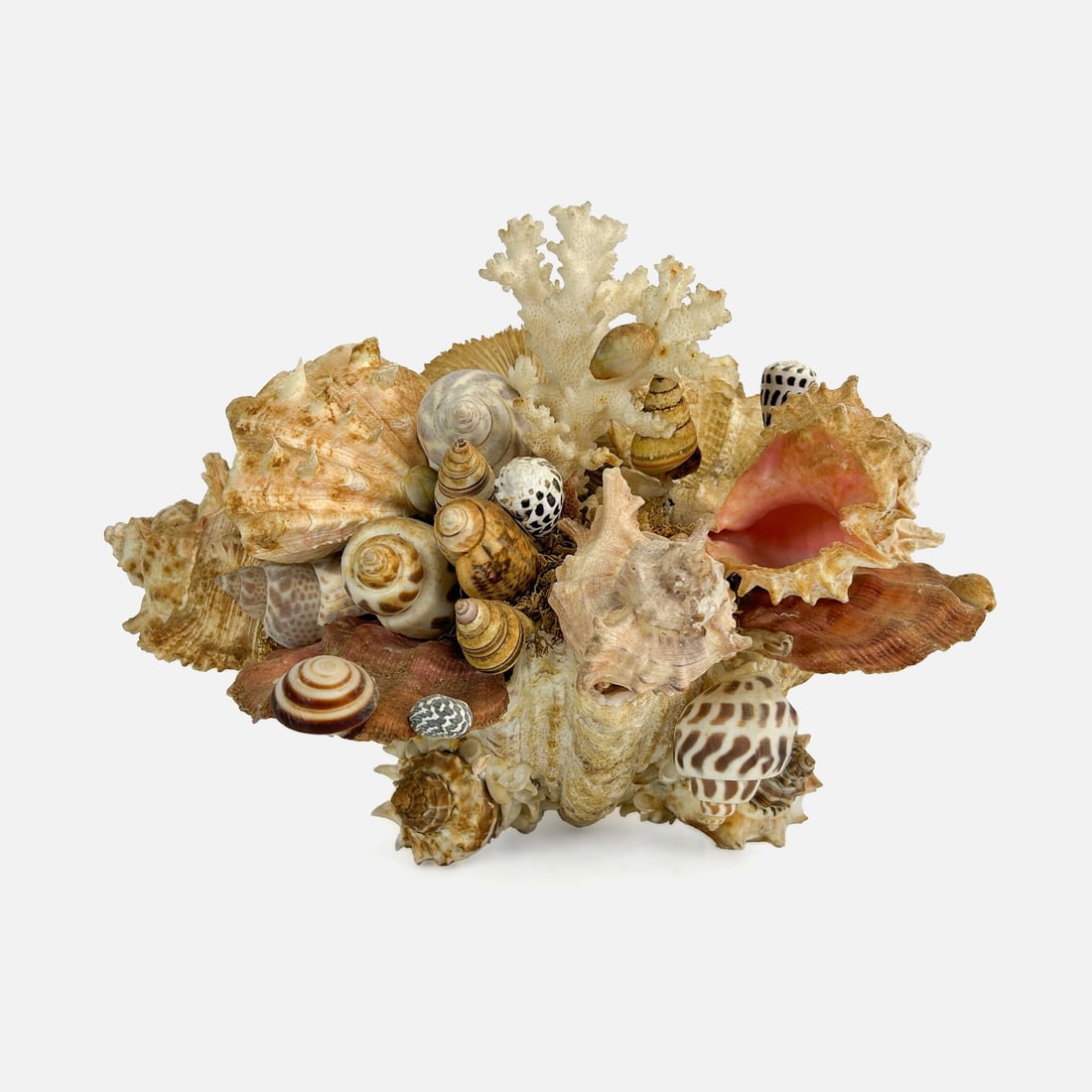 Antique Decorative Variety Seashell Centerpiece: We do not provide in-house shipping! Please reach out to Donald Camden at UPS Store 4608 or refer to our list of preferred shippers for a quote. Donald Camden UPS #4608 - store4608@theupsstore.com - 7