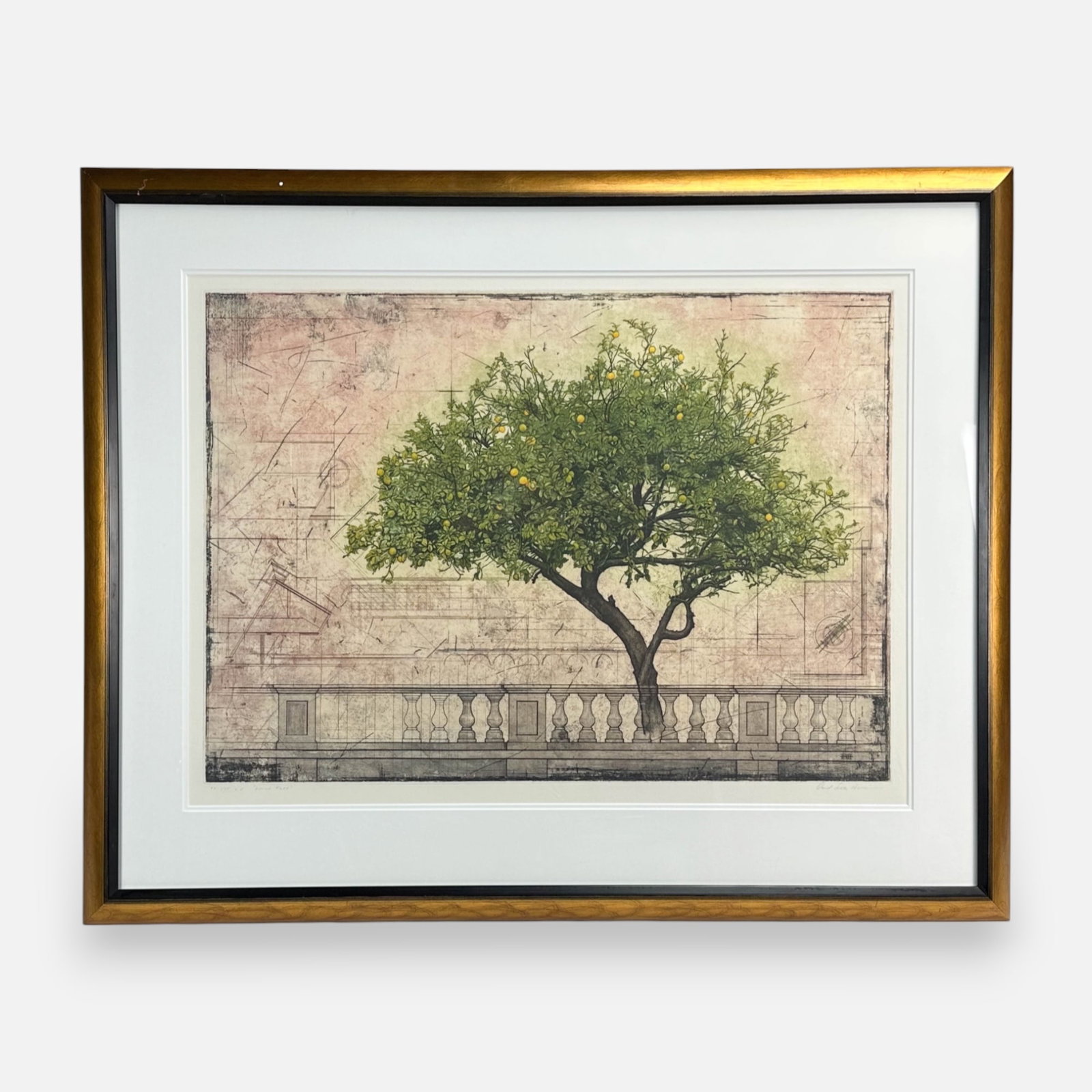 David Smith Harrison "Lemon Tree" Modernist Etching Framed Print (1 of 5)