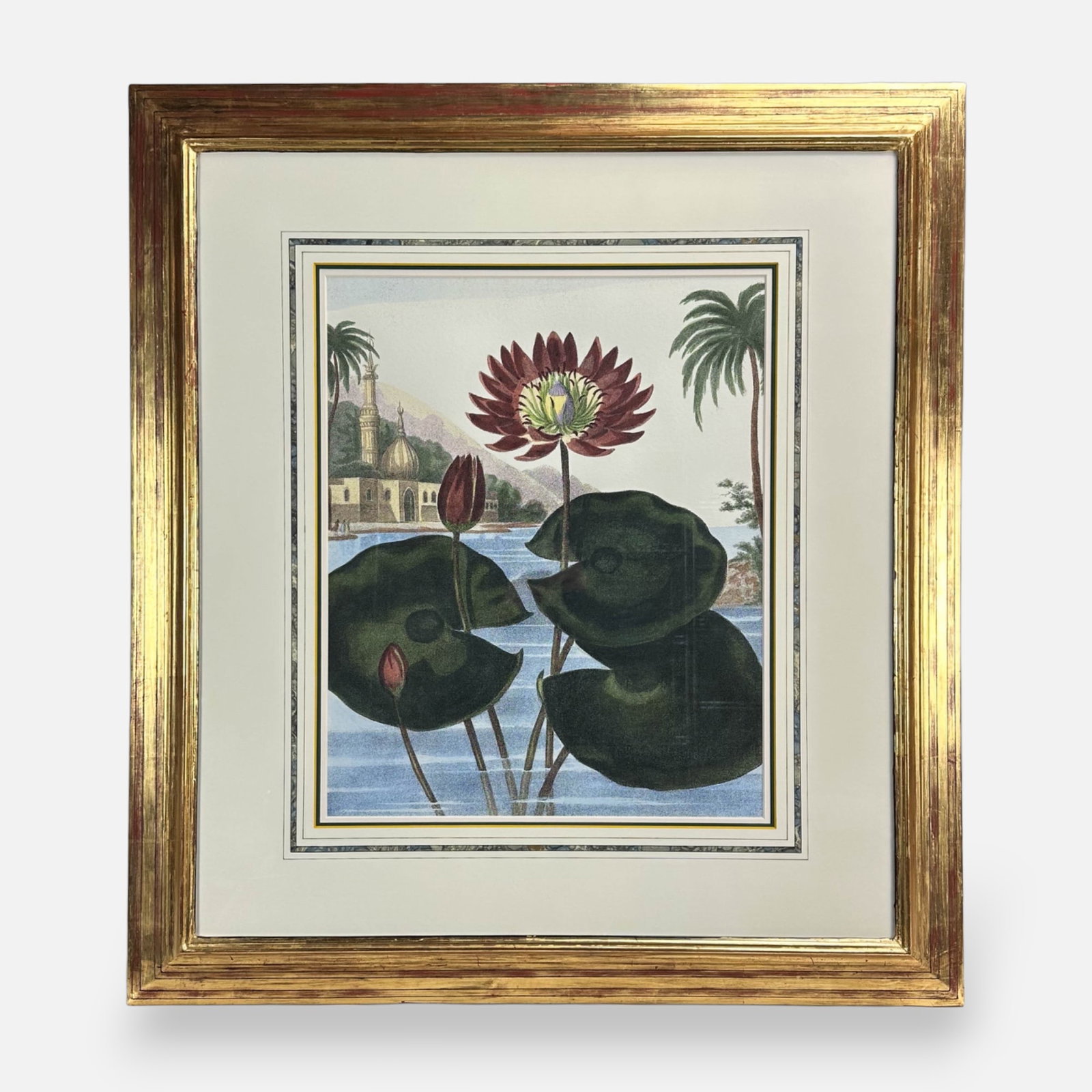 Dr. Robert Thornton (After) "The Egyptian Water Lily" Hand Colored Etching Framed Print (1 of 3)