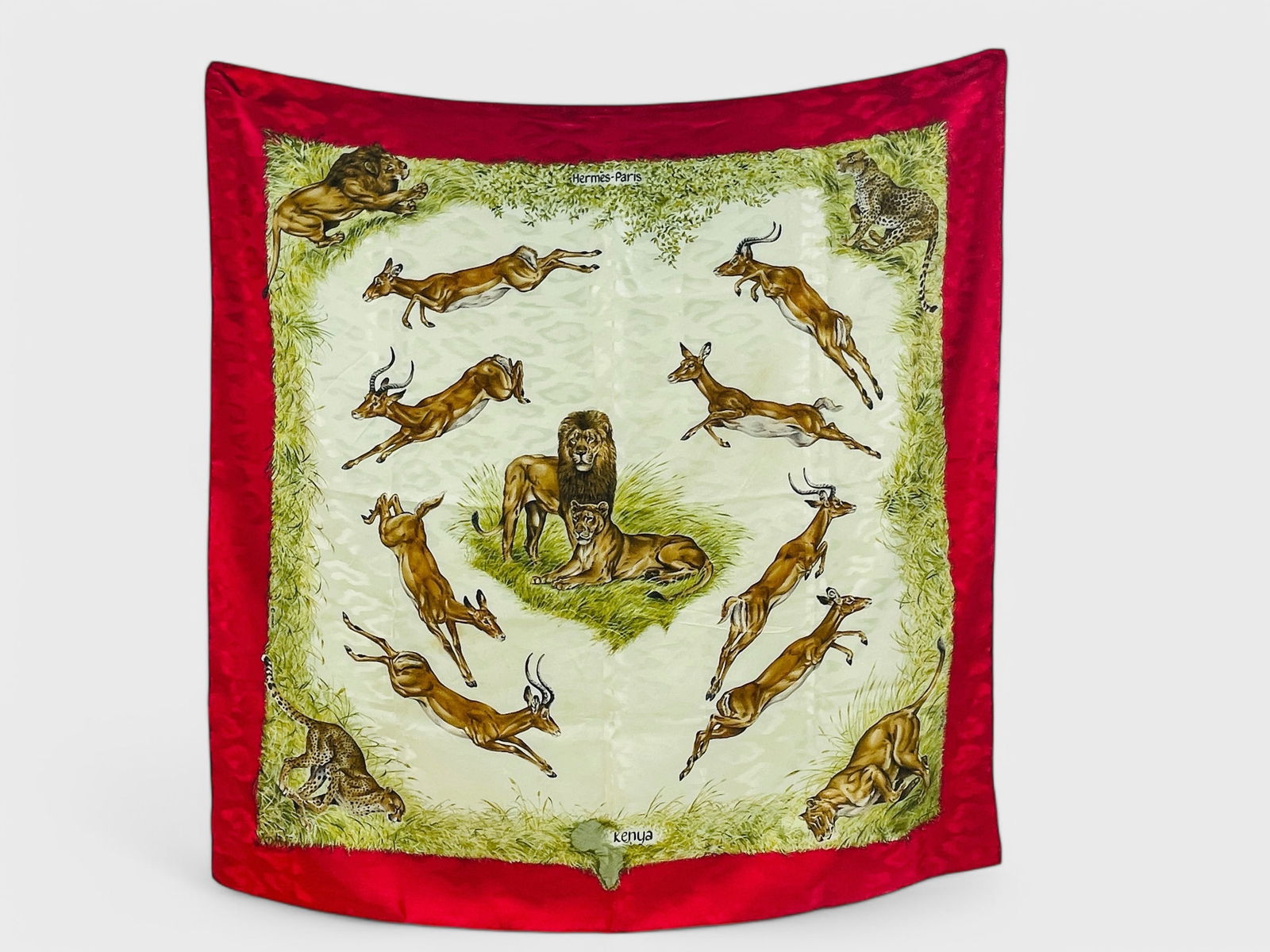 Hermes Kenya Silk Scarf Includes Box (1 of 7)