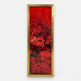 Peter Lik "Zen" Limited Edition Framed Photograph #808/950