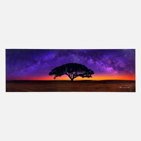 Peter Lik "Celestial Dream" Limited Edition Photograph #393/950 w/COA