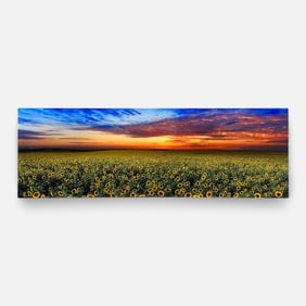 Peter Lik "Summer Dreams" Limited Edition Photograph #169/950 w/COA