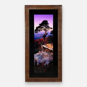 Peter Lik "Earths Elder" Very Large Artist Proof Framed Photograph #1/45