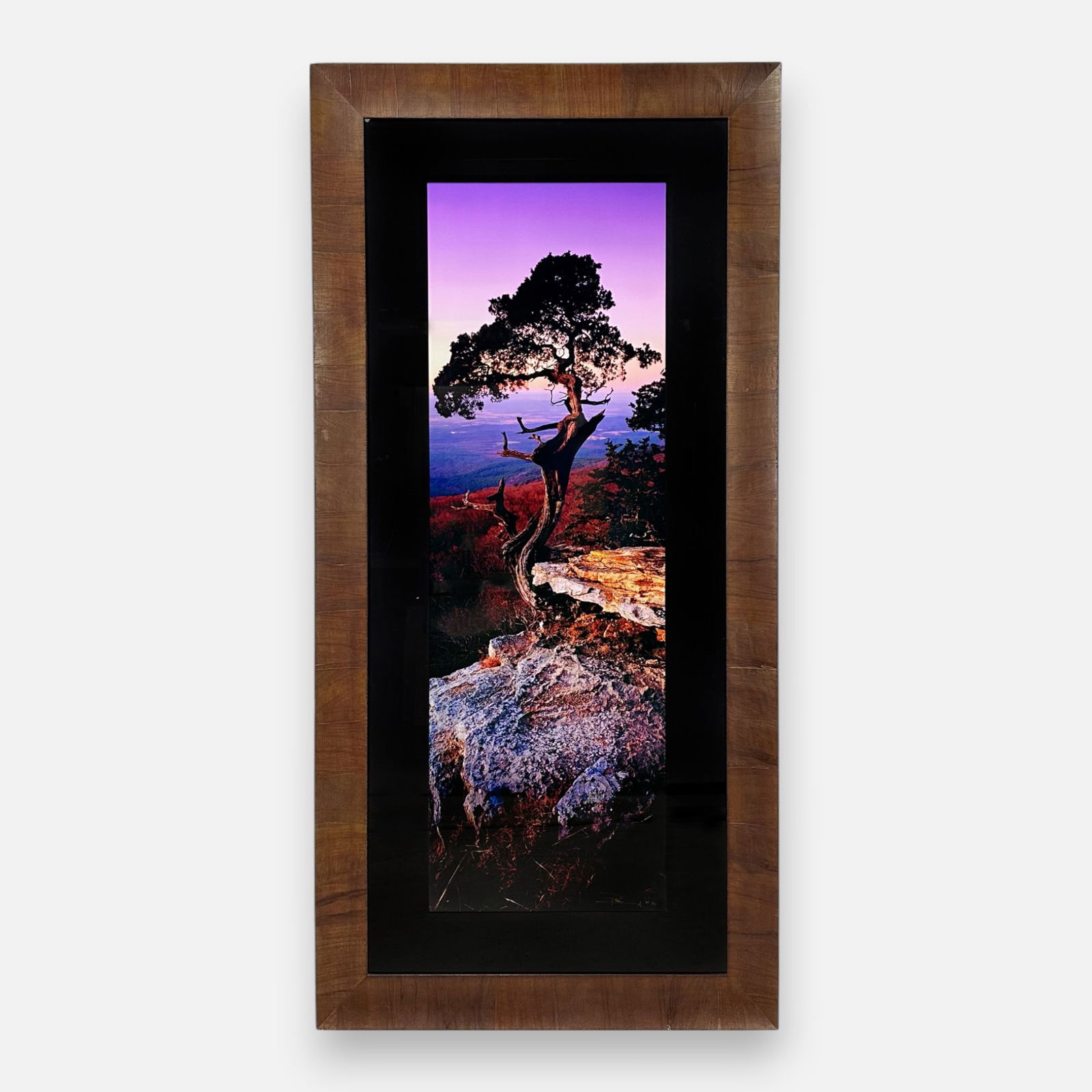 Peter Lik "Earths Elder" Very Large Artist Proof Framed Photograph #1/45 (1 of 6)