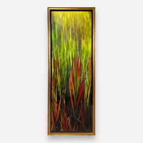 Peter Lik "Passion" Framed UNSIGNED Photograph