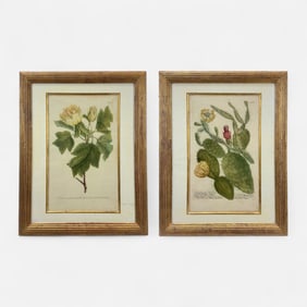 Three Antique Hand Colored Botanical Prints Framed