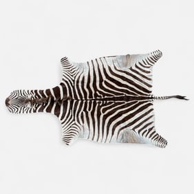 Authentic African Tanned Zebra Hide Animal Skin for Upholstery
