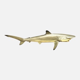 Black Tip Reef Shark Wall Mount Hanging Sculpture Stuffed Fish