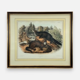 John James Audubon "Mink" Antique 19thC Hand-Colored Print Framed