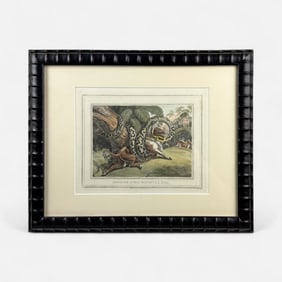 Edward Orme "Anecdote Gt Boa Serpent & A Bull" Antique 19th Handcolored Aquatint Framed