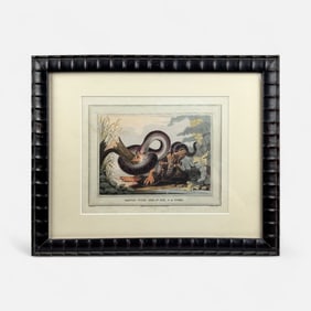 Edward Orme "Battle With The Gt Boa & A Tiger" Antique 19th Handcolored Aquatint Framed
