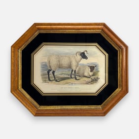 William Shiels (After) "The Old Norfolk Breed" Antique 19thC Hand Colored Lithograph Framed Print