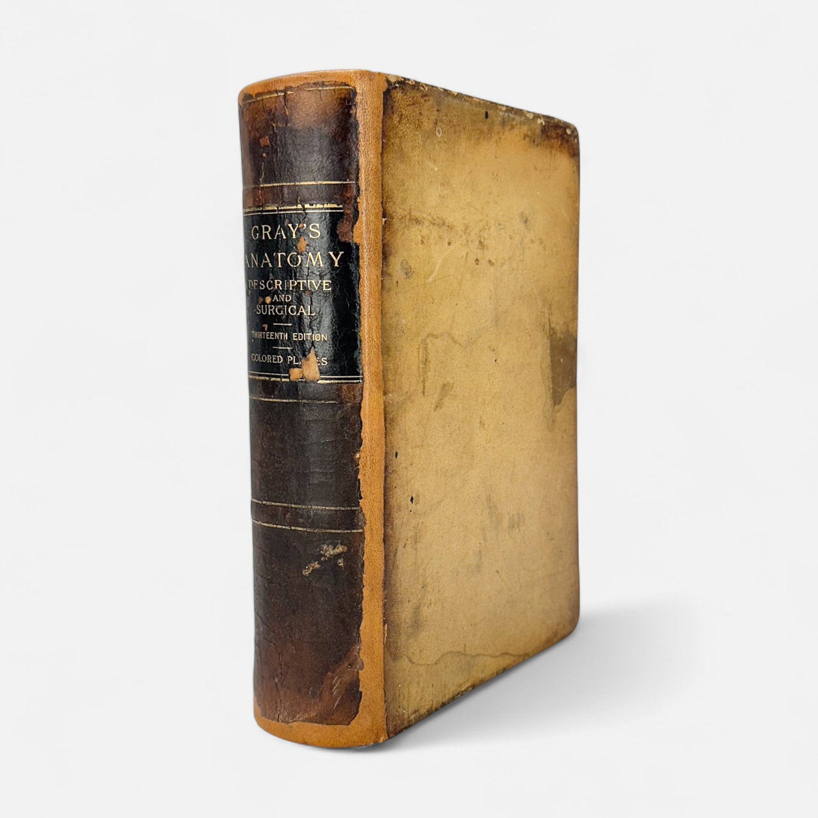 Gray's Anatomy Descriptive and Surgical 1893 Edition Leather Bound Antique Book: Fair age-appropriate condition, with shown discoloration, wear, spots of minor water damage to edges of sheets. For shipping, we highly recommend Donald Camden at UPS Store 4608. Alternatively, reach 
