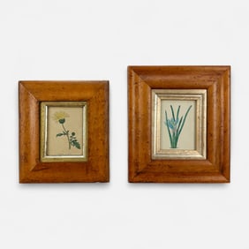 Two Miniature Hand Colored Botanical Prints Framed