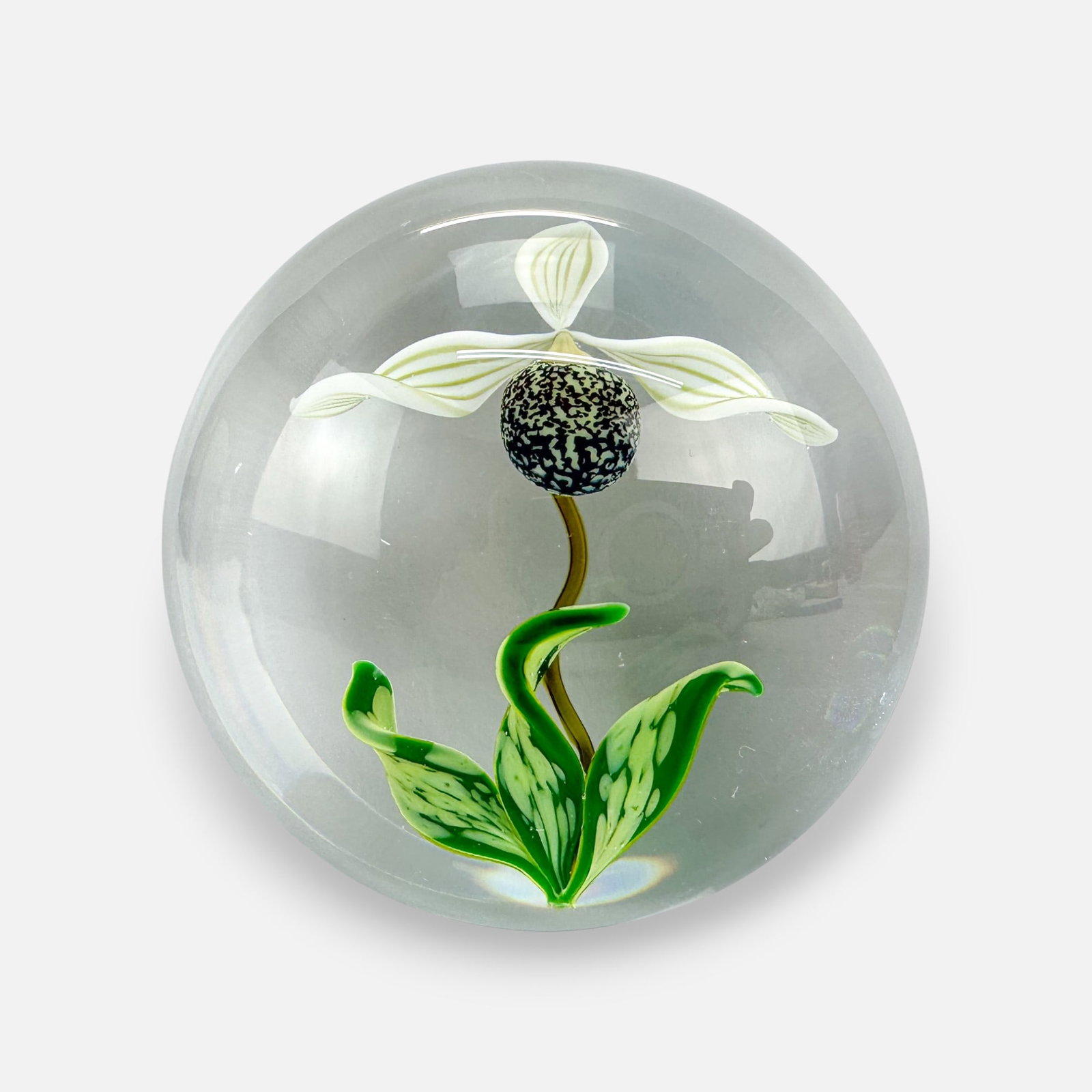 Gordon Smith 1988 Signed Orchid Flower Lampwork Studio Art Glass Paperweight (1 of 4)