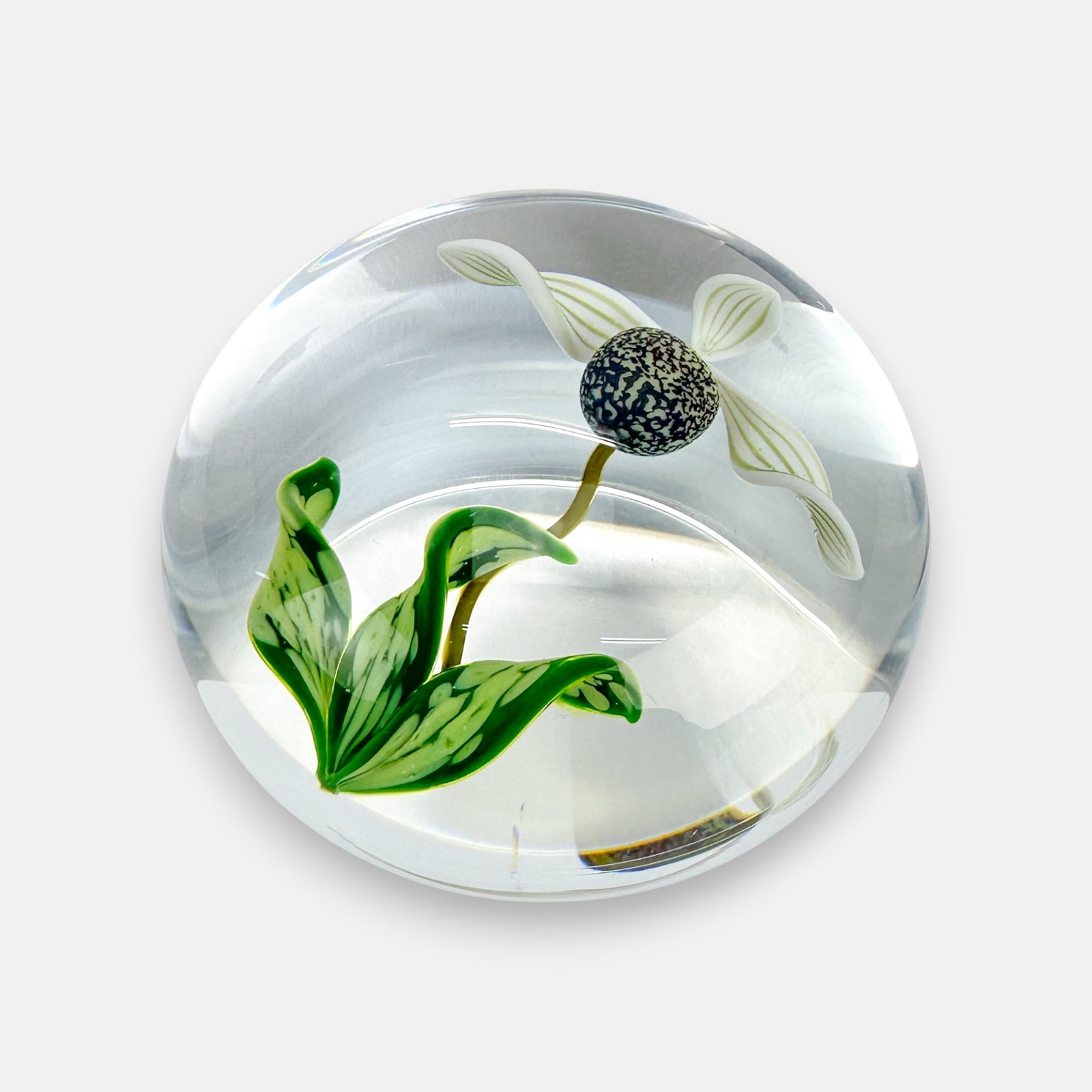 Gordon Smith 1988 Signed Orchid Flower Lampwork Studio Art Glass Paperweight - 3