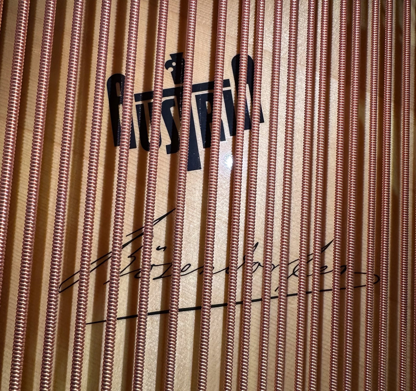 1982 Hand Built Bosendorfer Model 200 6'7" Grand Piano Austrian Ebony Lacquer Case - 10