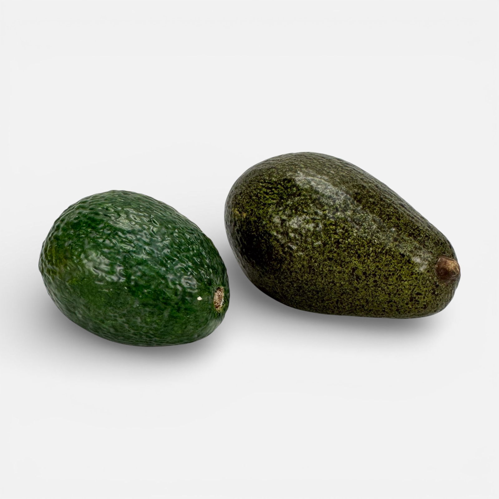 Mary Kirk Kelly and Penkridge Realistic Ceramic Avocado Fruit Sculptures (1 of 8)