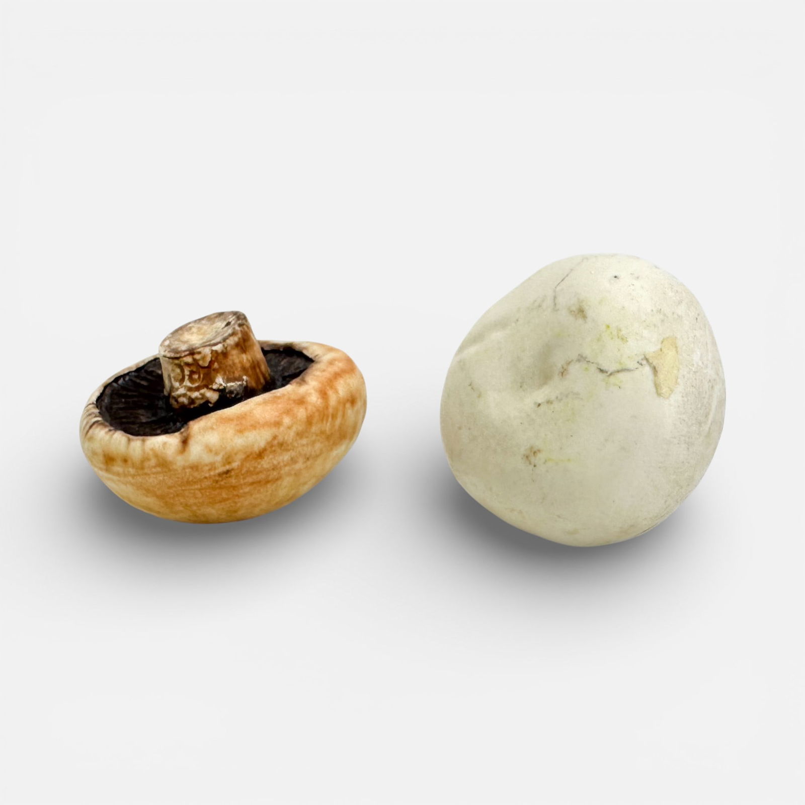 Two Penkridge Realistic Ceramic Mushroom Sculptures: One impressed mark as shown.For shipping, we highly recommend Donald Camden at UPS Store 4608. Alternatively, reach out to one of our preferred shippers listed at the link below or elect for LiveShipp