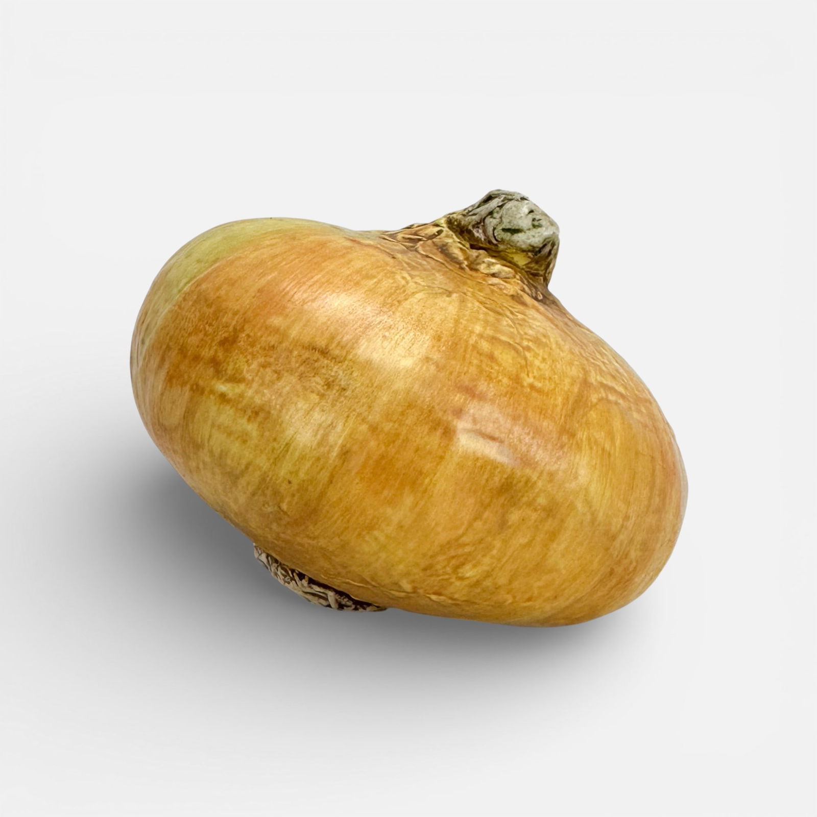Mary Kirk Kelly Realistic Ceramic Brown Onion Vegetable Sculpture: Mary Kirk Kelly (American, 1918-2013), signed as shown.For shipping, we highly recommend Donald Camden at UPS Store 4608. Alternatively, reach out to one of our preferred shippers listed at the link b